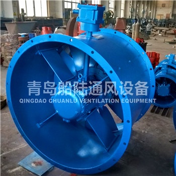 CBZ-110C Marine explosion-proof axial fan