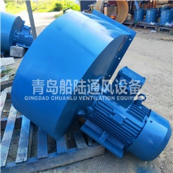 CBL-48 Marine explosion-proof Centrifugal blower