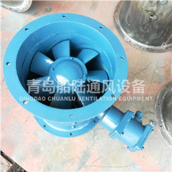 CBZ-40A Marine explosion-proof axial flow ventilator