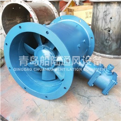 CBZ-40B Marine explosion-proof axial exhaust fan