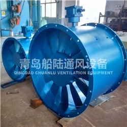 CBZ-110A Marine explosion-proof axial flow ventilator