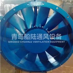 CBZ-100A Marine explosion-proof axial flow fan