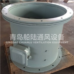 CZF-110A marine axial exhaust fan