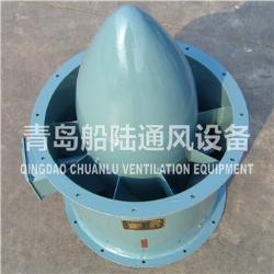 CLZ2-J Marine vertical axial flow fan