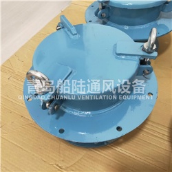 CWZ-224D Marine small sized axial blower