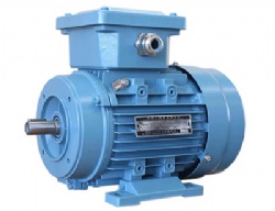 YY-H Series Single phase Marine Asynchronous Motor  （Frame size50~90）