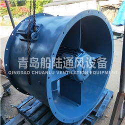 CZ-110A Marine ship mechinery ventilation fan(60HZ,18.5KW)