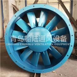 CZ-110B Offshore platform axial flow fan(60HZ,11KW)